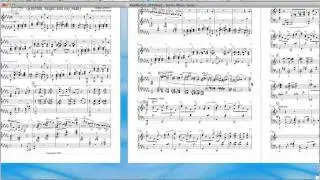 The Music Transcriber: Formatting Parts Using Plugins in Sib 6 Part 1