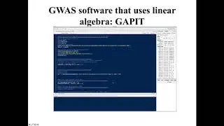 Linear Algebra in GWAS and Genomic Selection: Overview