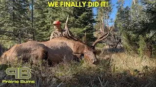Elk Hunting The Black Hills Of South Dakota (Once In A LIFETIME!)