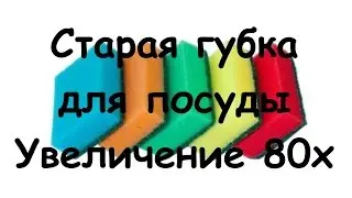 Старая губка для посуды | Под микроскопом | Увеличение 80х