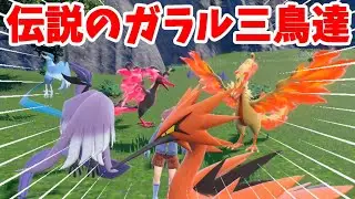 【ポケモンSV】伝説のガラル三鳥！ファイヤー！サンダー！フリーザが大進化！？【ポケモンスカーレットバイオレット】