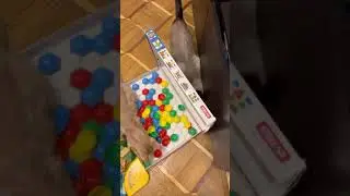 Ребенок играет в мозаику с кошками