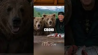 Он поверил, что медведи его любят…