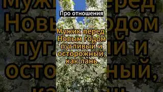 Мужик перед Новым годом пугливый #психология #факты