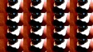 нαρρу вιятн∂αу ωєянσтт1! ~мυѕι¢ νι∂єσ ƒσя уσυ!~