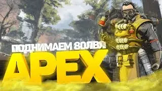 Апаем 80lvl в Apex