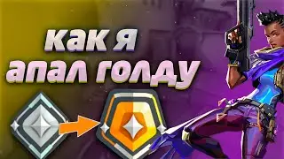 Как я апал голду в Valorant