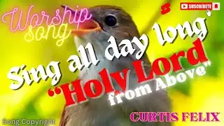 SING ALL DAY LONG!!! - Holy Lord from Above Worship Song | Curtis Felix