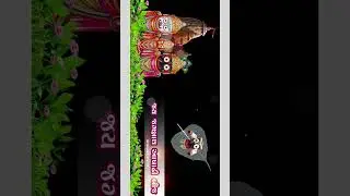 જય જગન્નાથ 🙏. #jagnnathtemple #jayjagannath #rathyatra #2024 #status #jagannathstatus