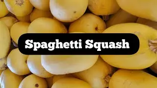 Spaghetti Squash - An Interesting Winter Squash