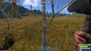 Rust_20240310045501