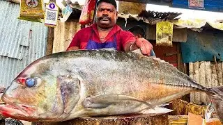 KASIMEDU SPEED SELVAM TREVALLY FISH CUTTING VIDEO CUTTING FOCUS