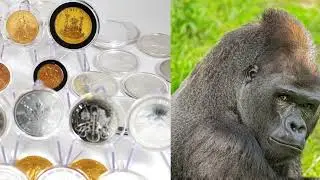 TRUST? Top 10 Reasons To Trust Silver & Gold in 2023