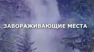 спецкурсблики