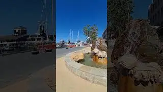 Oakland bay