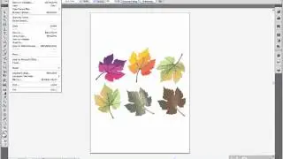 Adobe İllustrator Cs4 Eğitim Son Video