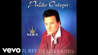 Palito Ortega - Despeinada (Remix '97) (Official Audio)