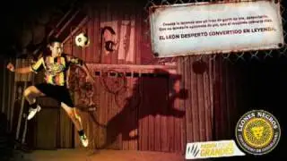 Leones Negros: Leones Negros de la UdeG