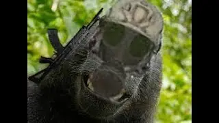 SCP:SL POV: You are absolutely screwed.