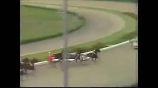 Europei di Trotto a Cesena 1980