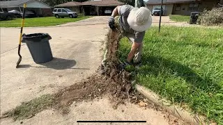 FREE OVERGROWN ISLAND Transformation for the NEIGHBORHOOD