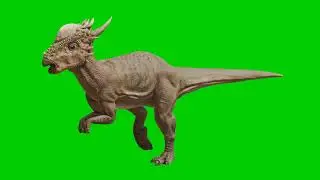 Free Green Screen Video Download Dinosaur [4K]