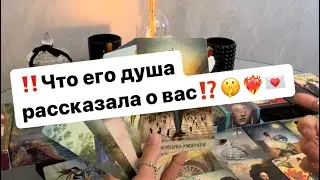 ‼️Честный разговор с его душой о вас⁉️🤫❤️‍🔥💌