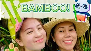 Today, we’re making Bamboo to eat! We’re crafting in the ￼ bamboo forest #Mothers Day #Bamboo #Snack