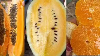 Farm fresh Ninja fruit cutting/Oddly Satisfying fruit Ninja mixed#shorts#ninja#farm#satisfying#fruit