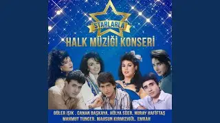 Seni Sevdim