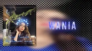 hum tumko nighahon mein / Wania Nadeem / Ae inspired AlightMotion Simp Edit / AlightMotion Preset