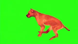 Brown dog with ten different poses|Green screen cartoon|Cartoon character|Green screen
