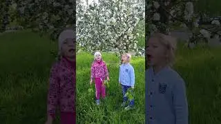 Маленькие девочки поют "Катюшу"