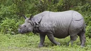 10 wildlife facts you probably didn’t know.
