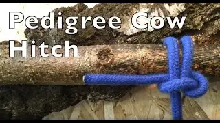 Pedigree Cow Hitch. Easy step by step instructions.