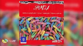 Mindlos Wamapiano, Vista and Smangori  - Shukela [Ft. Prince Chopiro] (Official Audio)