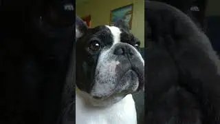 What?