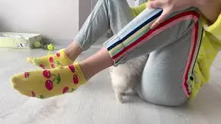 Маленький щенок играет с ногами #шпиц #щенки #собаки