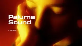 Paluma Sound // Inside