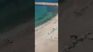Praia de Marseille de cima da roda gigante 2.