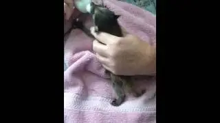 Breakfast at the Shelter