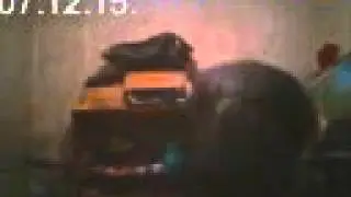 сыроедение 07 12 15  д 12