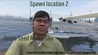 Grand theft auto 5 How to unlock DoDo Sea Plane(Spawn location+Cheat Code)