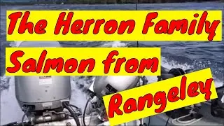 (May 21, 2024) A Few Rangeley Salmon