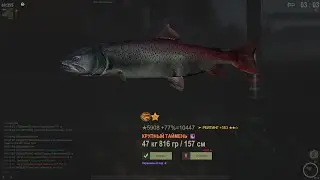 Fisher Online Кулгу : рекордный Таймень
