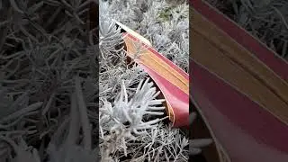 Новая форма рукояти , разборный лук 66" дюймов