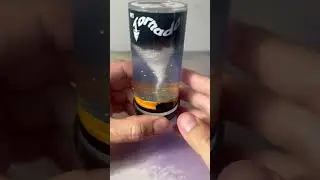 Haven’t you always wanted a Pet Tornado?!🌪️🌪️ 