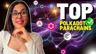 TOP Polkadot Parachain explicado 2024