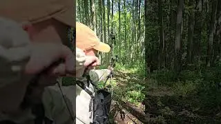 Archery SloMo!#нашиохотыирыбалки #archery #slowmotion #стрельбаизлука