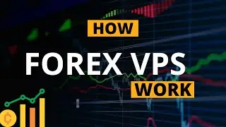 Forex VPS Hosting - How Does Forex VPS Work? | Best Forex VPS for Trading